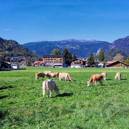 Jungfrau Hotel Wilderswil Εξωτερικό φωτογραφία
