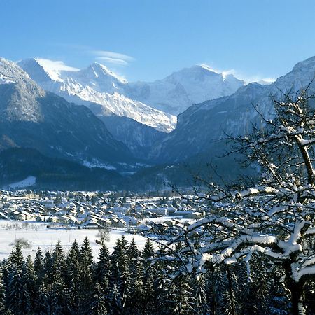 Jungfrau Hotel Wilderswil Εξωτερικό φωτογραφία