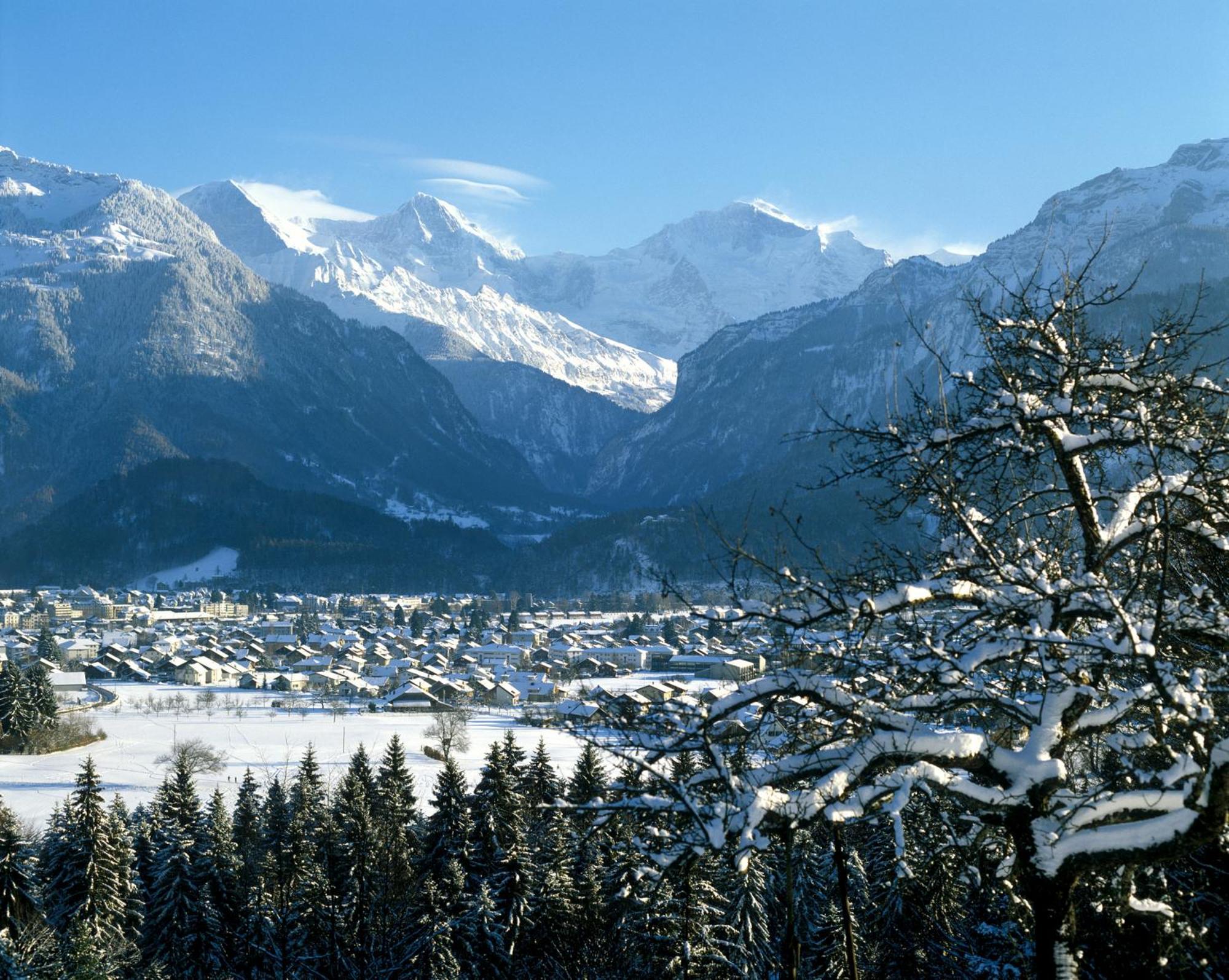 Jungfrau Hotel Wilderswil Εξωτερικό φωτογραφία