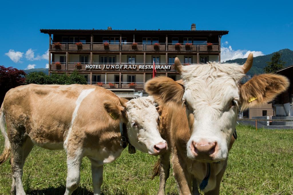 Jungfrau Hotel Wilderswil Εξωτερικό φωτογραφία