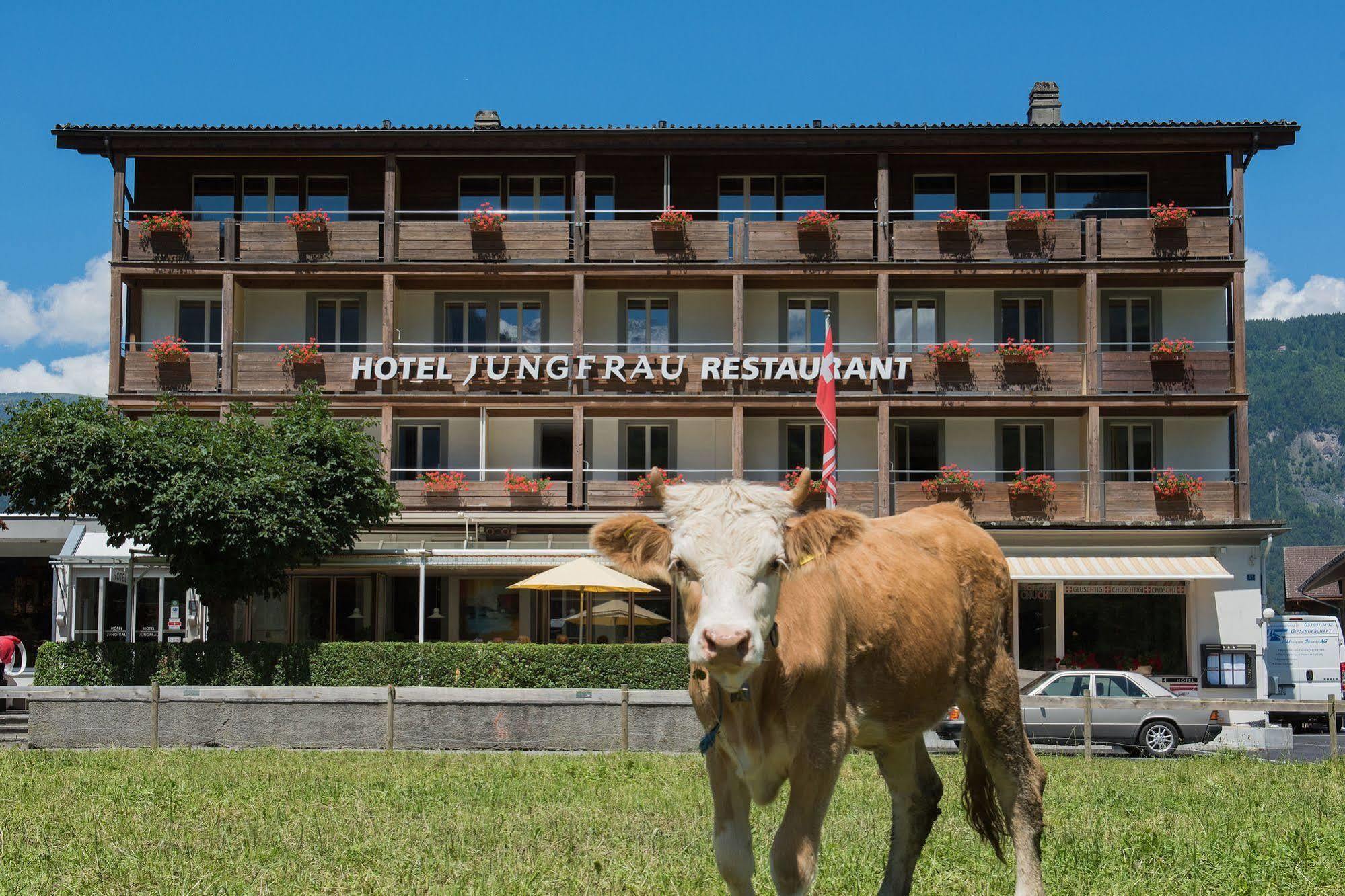 Jungfrau Hotel Wilderswil Εξωτερικό φωτογραφία