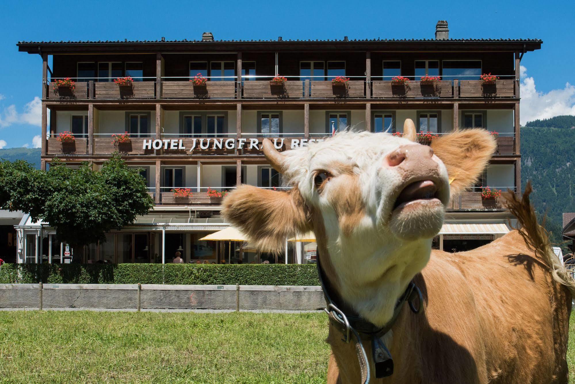 Jungfrau Hotel Wilderswil Εξωτερικό φωτογραφία